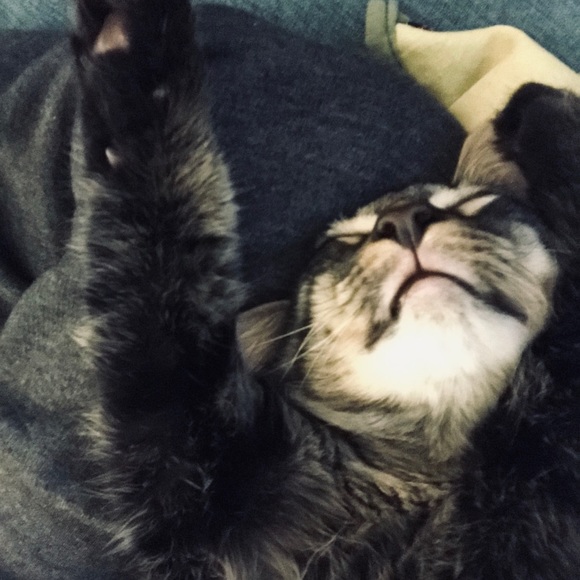 Meet your Posher, Jessica - Picture 1 of 1